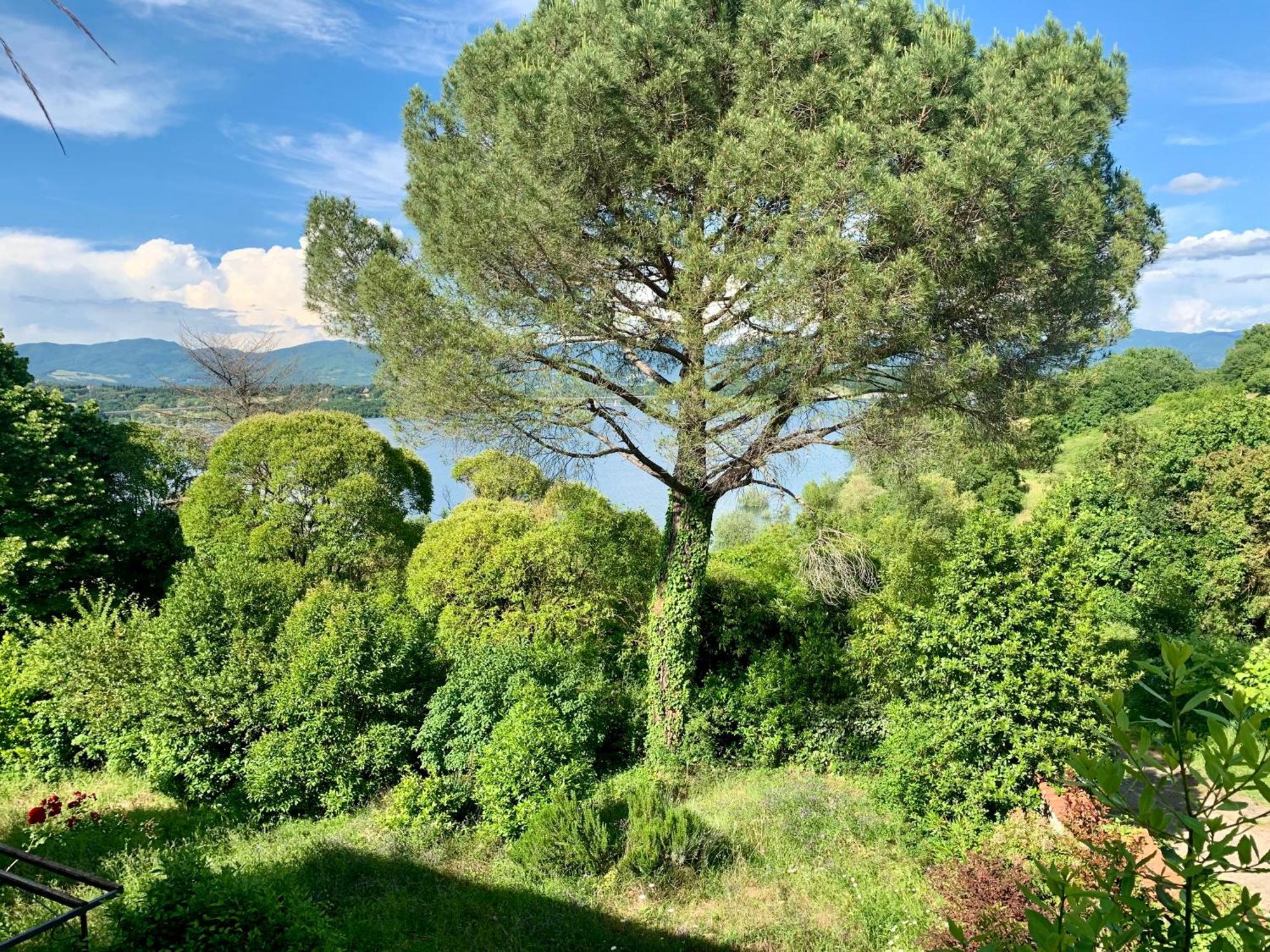 Villa Del Lago Barberino di Mugello Eksteriør bilde